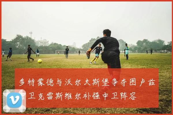 多特蒙德与沃尔夫斯堡争夺图卢兹后卫克雷斯维尔补强中卫阵容
